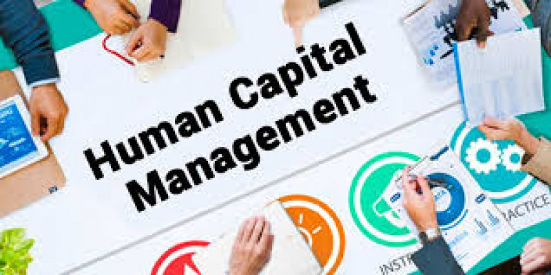 Human Capital Management System